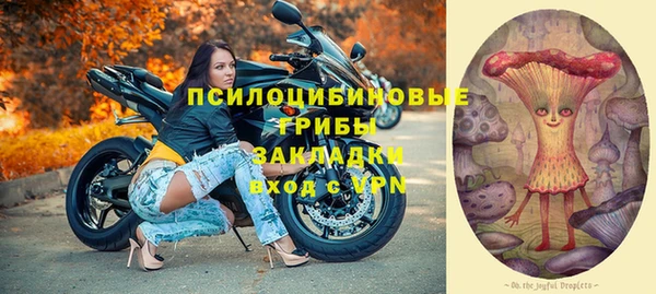 крисы Армянск