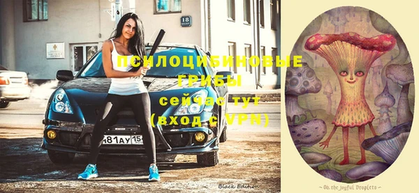 каннабис Арсеньев