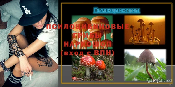 крисы Армянск