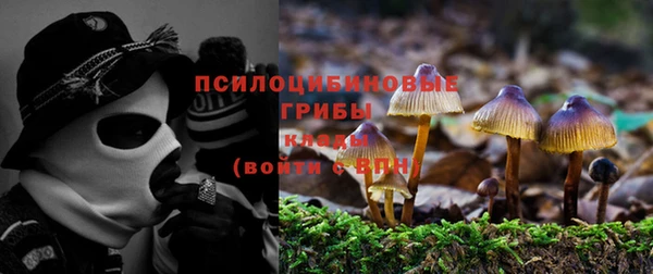 крисы Армянск