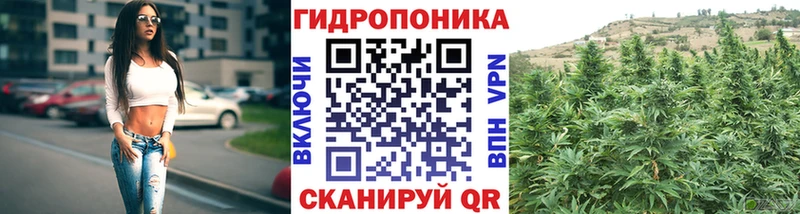 Бошки марихуана гибрид  Купить где  Орск 